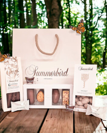Began With Butterfly  Gavepose Med Chokolade Fra Summerbird