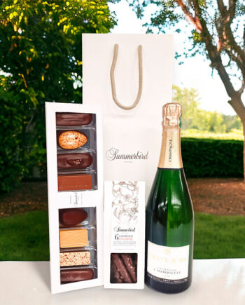 Chocolate   Champagne  Gavepose Med Chokolade Fra Summerbird