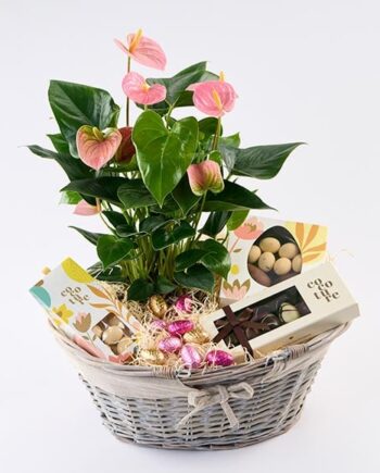 Påske Hyggekurv Der Blomstrer Send Blomster Med Bloomit